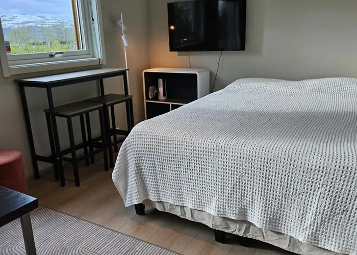 Sentral Hybelleilighet I Appartement *